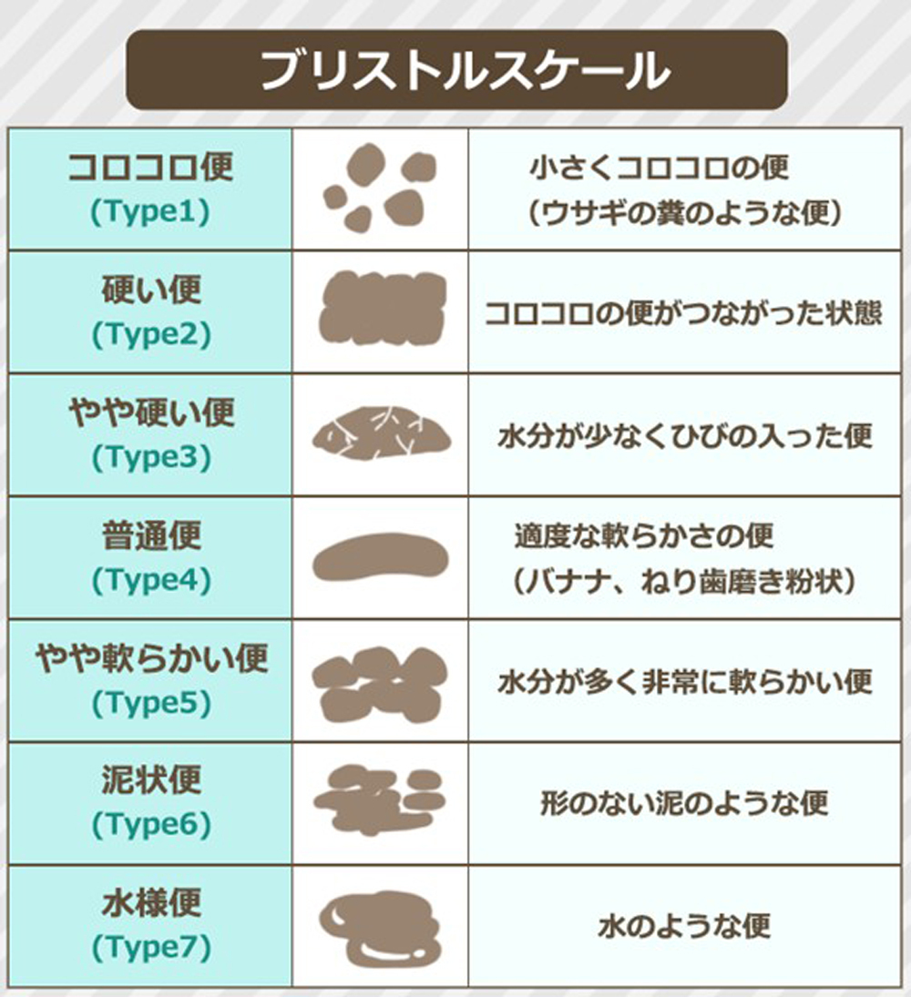 ブリストルスケール